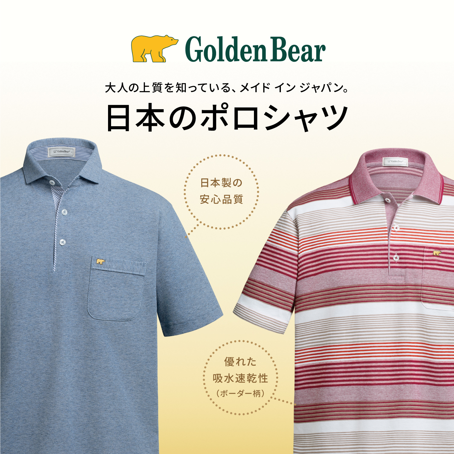 Golden Bear　新聞広告掲載　日本のポロシャツ